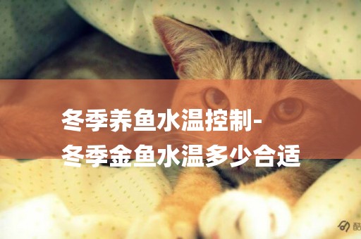 冬季養魚水溫控制-
冬季金魚水溫多少合適