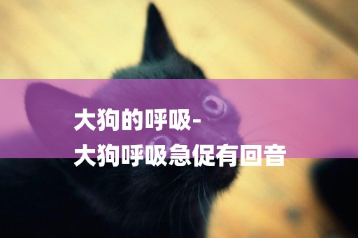 大狗的呼吸-
大狗呼吸急促有回音