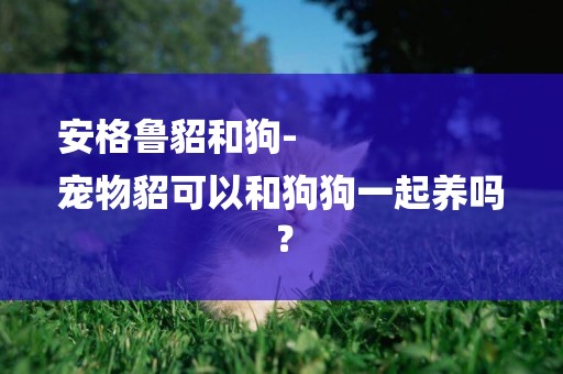 安格魯貂和狗-
寵物貂可以和狗狗一起養嗎？