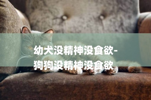 幼犬沒精神沒食欲-
狗狗沒精神沒食欲