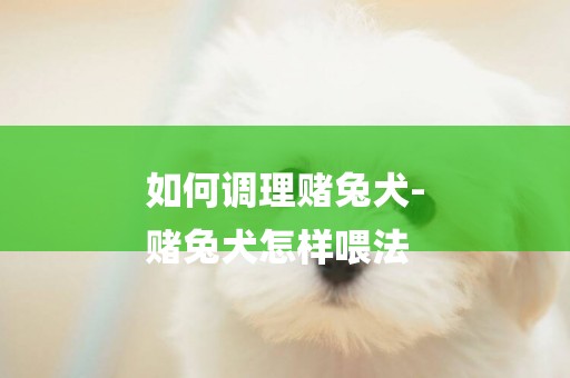 如何調理賭兔犬-
賭兔犬怎樣喂法