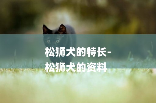 松獅犬的特長-
松獅犬的資料