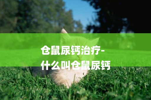 倉鼠尿鈣治療-
什么叫倉鼠尿鈣