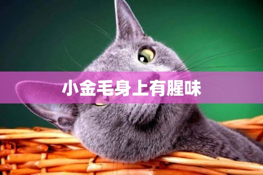 小金毛身上有腥味