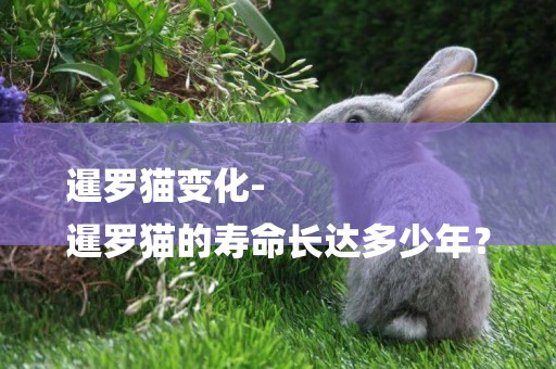 暹羅貓變化-
暹羅貓的壽命長達多少年？