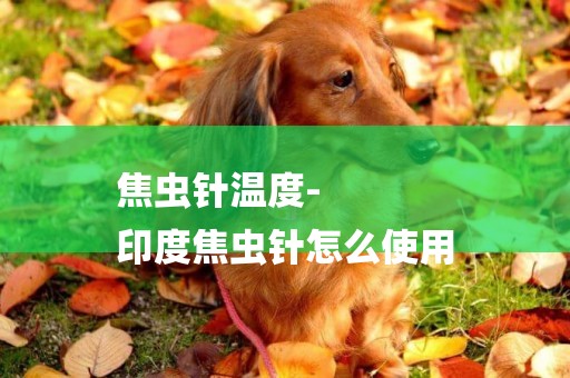 焦蟲針溫度-
印度焦蟲針怎么使用