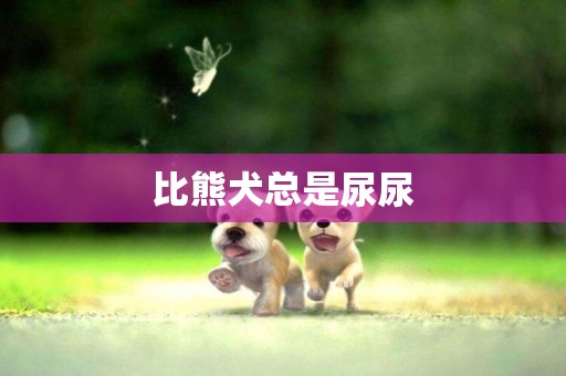 比熊犬總是尿尿