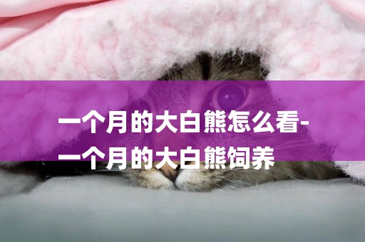 一個月的大白熊怎么看-
一個月的大白熊飼養
