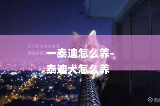 一泰迪怎么養-
泰迪犬怎么養