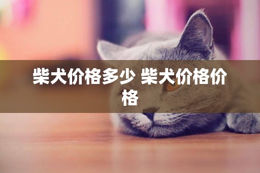柴犬價格多少 柴犬價格價格