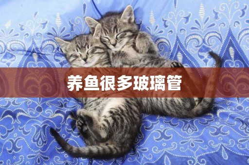 養魚很多玻璃管