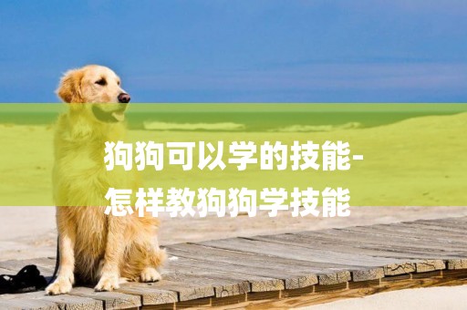 狗狗可以學的技能-
怎樣教狗狗學技能