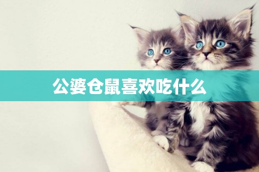 公婆倉鼠喜歡吃什么
