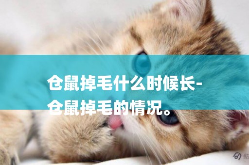 倉鼠掉毛什么時候長-
倉鼠掉毛的情況。
