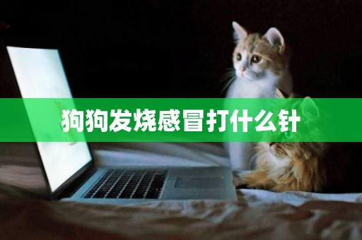 狗狗發燒感冒打什么針