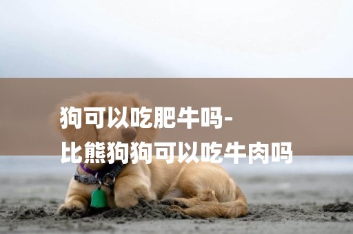 狗可以吃肥牛嗎-
比熊狗狗可以吃牛肉嗎
