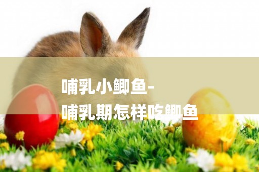 哺乳小鯽魚-
哺乳期怎樣吃鯽魚