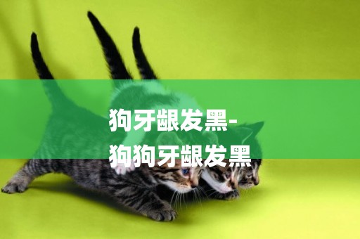 狗牙齦發黑-
狗狗牙齦發黑