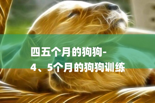 四五個月的狗狗-
4、5個月的狗狗訓練
