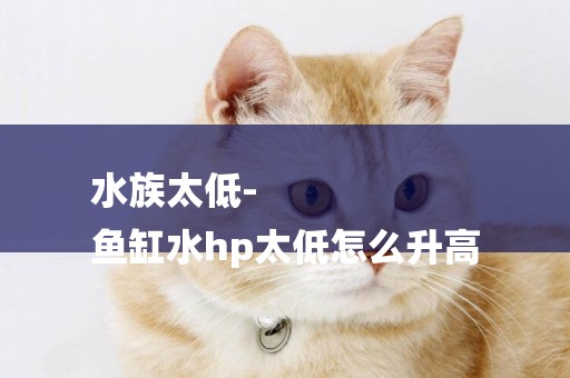 水族太低-
魚缸水hp太低怎么升高