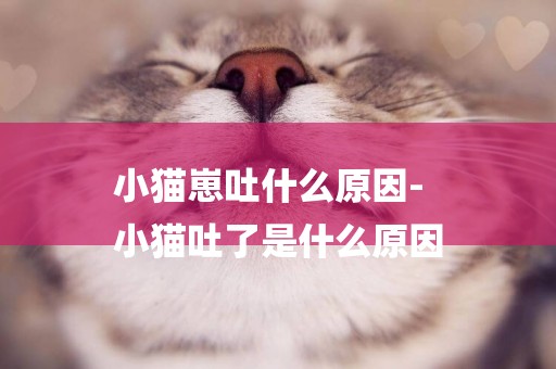 小貓崽吐什么原因-
小貓吐了是什么原因
