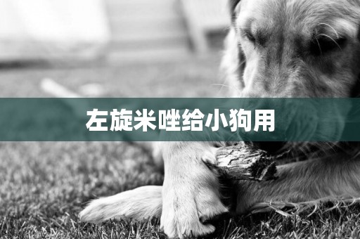 左旋米唑給小狗用