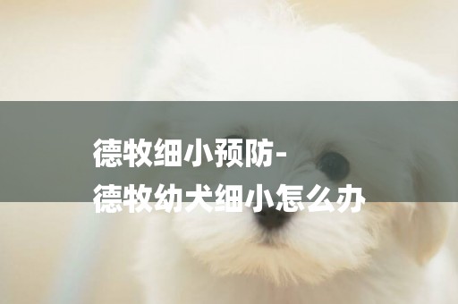德牧細小預防-
德牧幼犬細小怎么辦