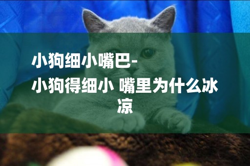 小狗細小嘴巴-
小狗得細小 嘴里為什么冰涼