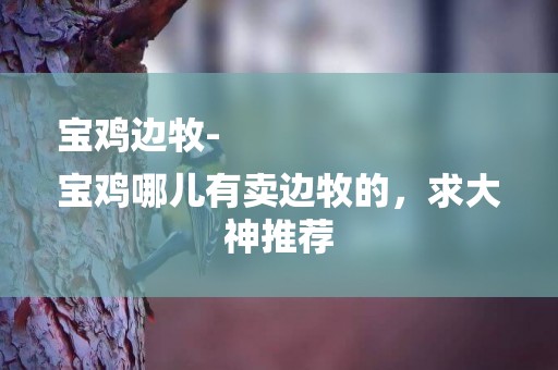 寶雞邊牧-
寶雞哪兒有賣邊牧的，求大神推薦