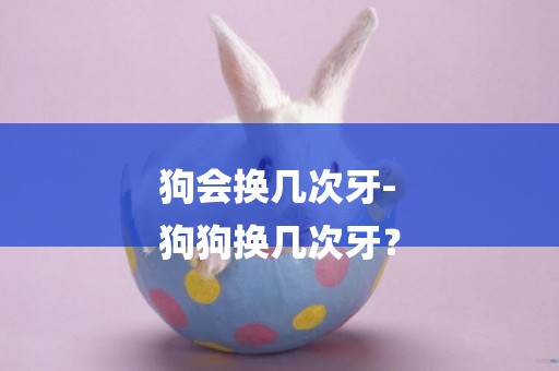 狗會換幾次牙-
狗狗換幾次牙？