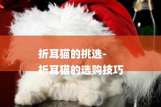 折耳貓的挑選-
折耳貓的選購技巧