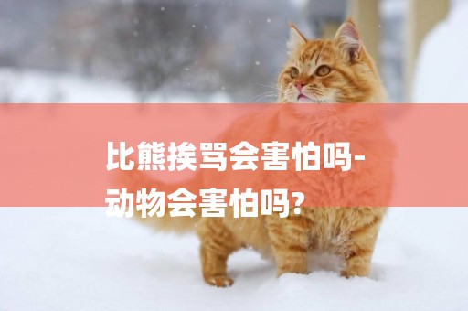比熊挨罵會害怕嗎-
動物會害怕嗎?
