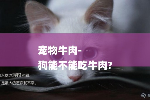 寵物牛肉-
狗能不能吃牛肉?