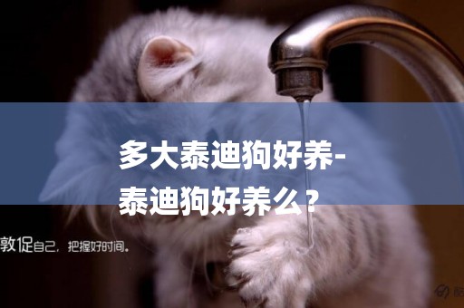 多大泰迪狗好養-
泰迪狗好養么？