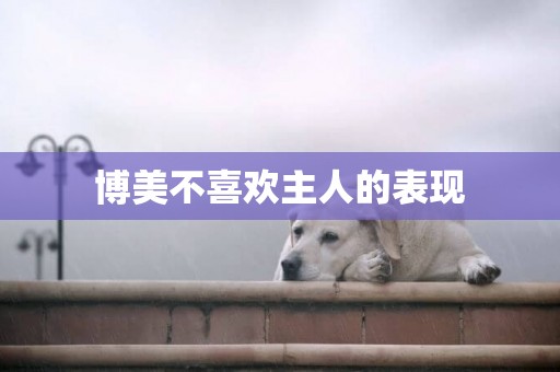 博美不喜歡主人的表現