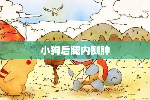 小狗后腿內側腫