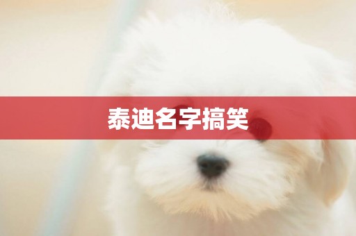 泰迪名字搞笑