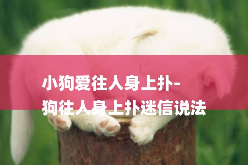 小狗愛往人身上撲-
狗往人身上撲迷信說法