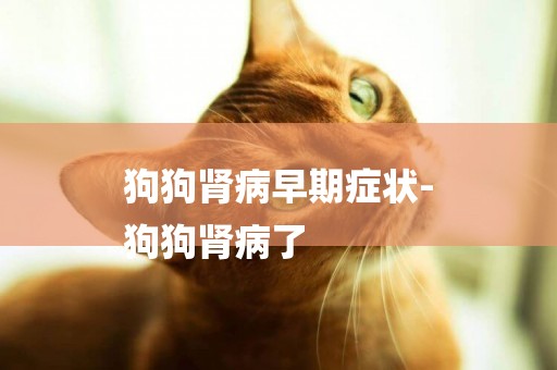 狗狗腎病早期癥狀-
狗狗腎病了
