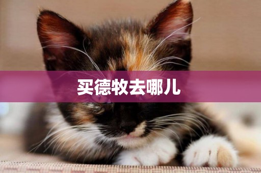 買德牧去哪兒 