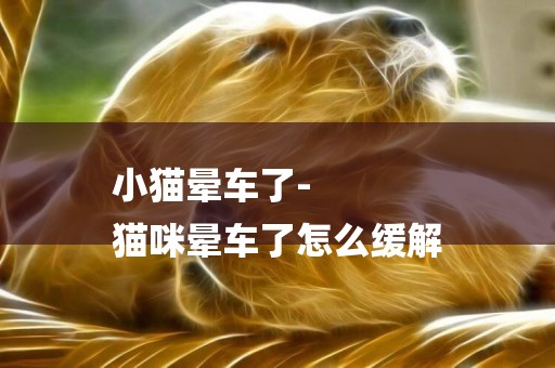 小貓暈車了-
貓咪暈車了怎么緩解