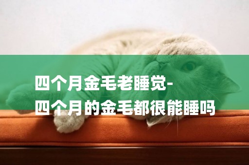 四個月金毛老睡覺-
四個月的金毛都很能睡嗎