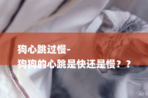 狗心跳過慢-
狗狗的心跳是快還是慢？？