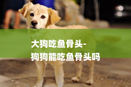 大狗吃魚骨頭-
狗狗能吃魚骨頭嗎