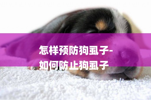 怎樣預防狗虱子-
如何防止狗虱子