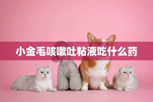 小金毛咳嗽吐粘液吃什么藥