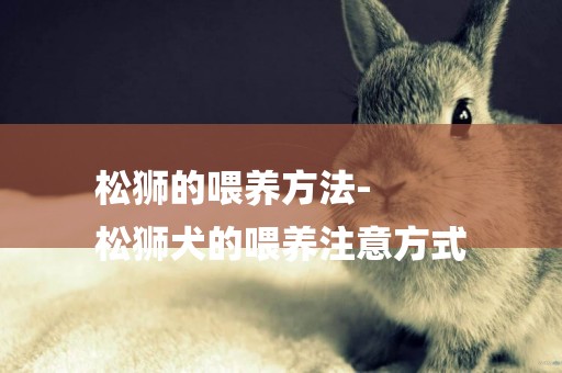 松獅的喂養方法-
松獅犬的喂養注意方式
