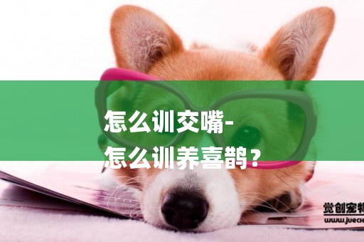 怎么訓交嘴-
怎么訓養喜鵲？