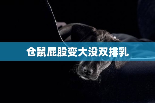 倉鼠屁股變大沒雙排乳