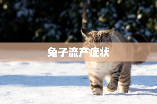 兔子流產癥狀